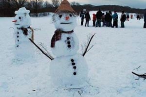 franklin park snow festival photo