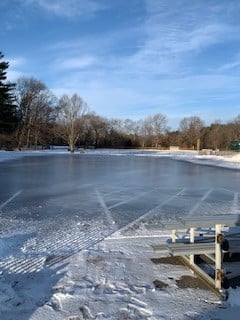 featherland ice skating rink photo