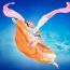 shen yun 2021 small photo