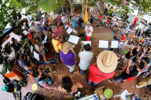 honk festival photo