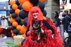 doggone halloween pet parade at downtown crossing photo