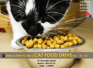 winter cat food drive at the animal rescue league of boston photo