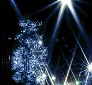 newton holiday lighting ceremony photo