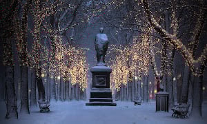 lighting of the commonwealth avenue mall trees 2022 photo