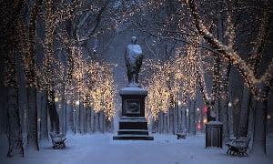 lighting of the commonwealth avenue mall trees photo