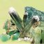 new england gem mineral show 2022 small photo