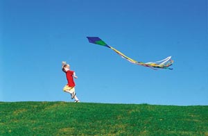 let's go fly a kite a practically perfect mary poppins part photo