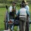 independence day celebration at old sturbridge village small photo
