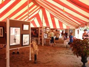 pembroke arts festival photo