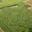corn mazes in massachusetts small photo