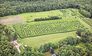 schartner farm corn maze photo