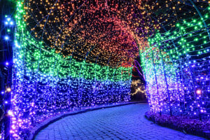 sold out night lights at new england botanic garden at tower hill holiday ligh photo