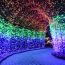 night lights at new england botanic garden at tower hill holiday lights small photo