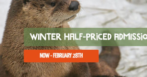 12 price winter wonder days at roger williams zoo thru february photo