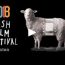 irish film festival boston 2020 small photo