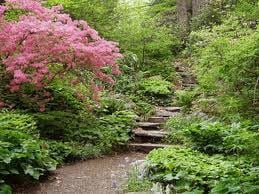 Garden in the Woods