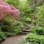 garden in the woods small photo