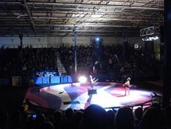 2015 aleppo shriners' circus photo