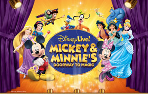 disney live mickey and minnie's doorway to magic photo
