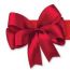 red bow fair small photo