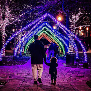 festival of lights worcester photo