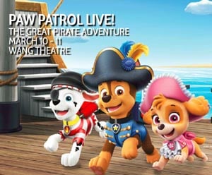paw patrol live  the great pirate adventure photo