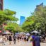 open newbury street 2023 small photo