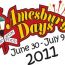 amesbury days fireworks small photo