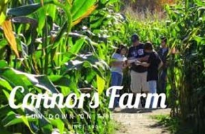 flashlight maze at connors farm photo