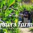 flashlight maze at connors farm small photo