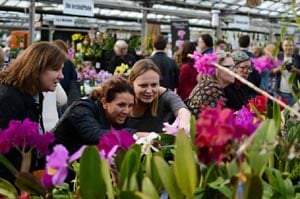 world of orchids show by the massachusetts orchid society photo