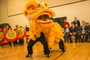 quincy lunar new year festival photo