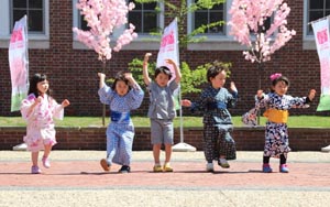 8th annual brookline cherry blossom festival photo