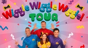 the wiggles photo