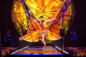 Cirque du Soleil: Luzia
