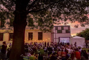 mfa sunset cinema series summer movies love jones photo