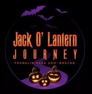 halloween jack-o-lantern journey at franklin park zoo photo