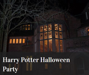 harry potter halloween party adults photo