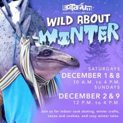 wild about winter at the ecotarium photo