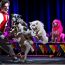 johnny peers and the muttville comix small photo