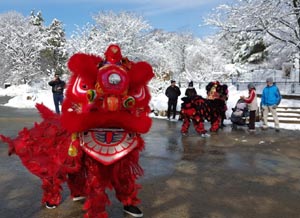 celebrate the lunar new year  at franklin park zoo photo