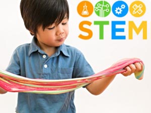 fun with stem - bugs and their buddies photo