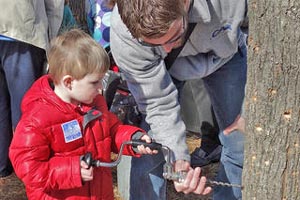 maple sugar days at breakheart reservation photo