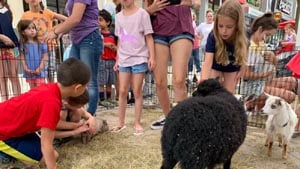 baby animal farm at patriot place photo