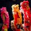 celebrate with wah lum kung fu tai chi academy lion dance small photo