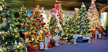 methuen's festival of trees photo