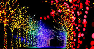 winter lights at naumkeag the bradley estate stevens coolidge photo
