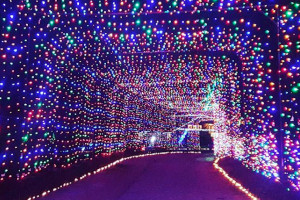 gift of lights at nh motor speedway photo