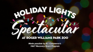 roger williams holiday lights spectacular photo