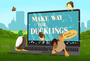 make way for ducklings the musical - streamed live photo